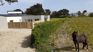 Un bâtiment moderne avec une allée en gravier, une clôture en bois et un cheval se tenant dans un champ herbeux.