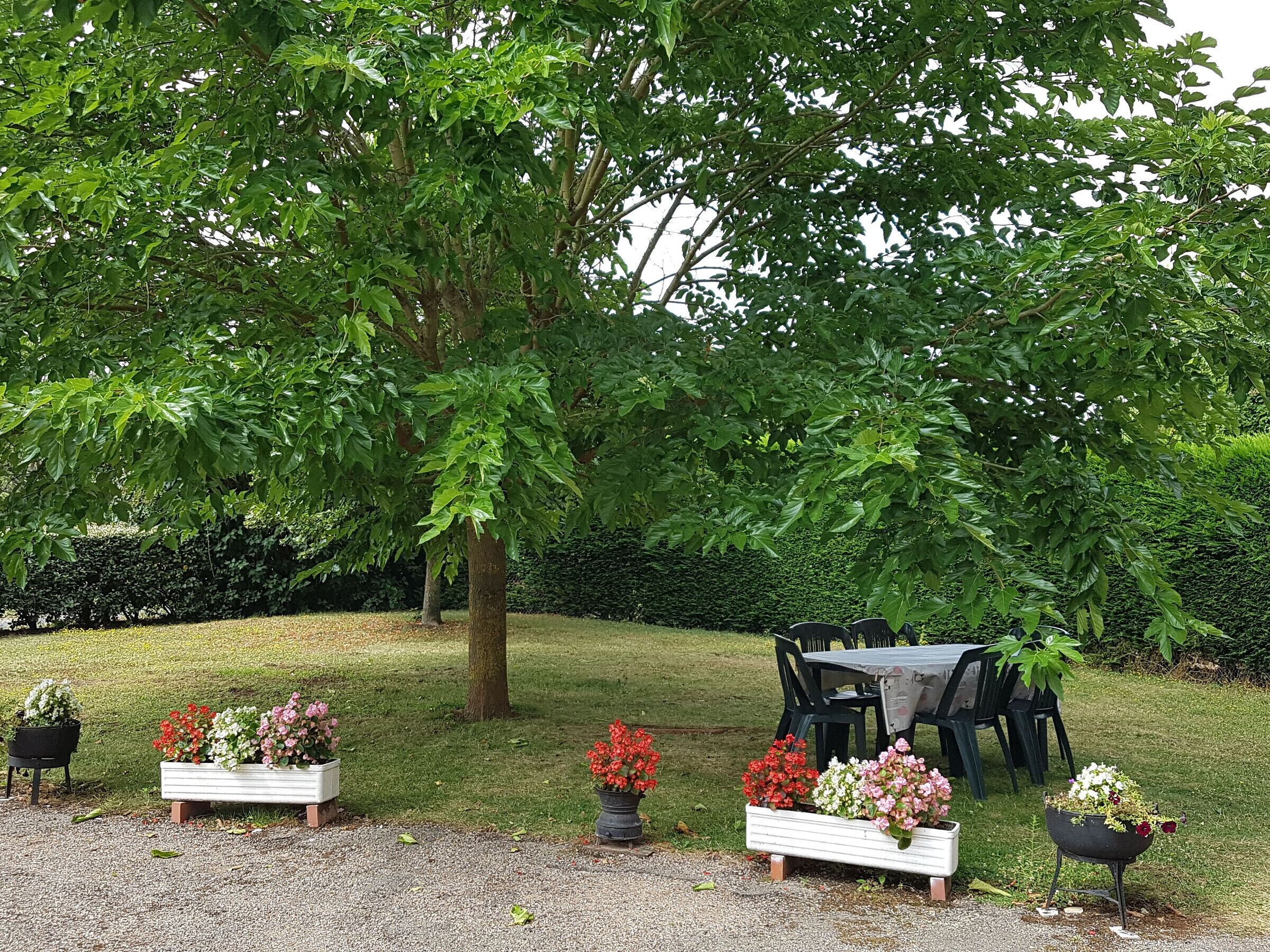 A garden with a table and chairs, surrounded by trees and flower planters.