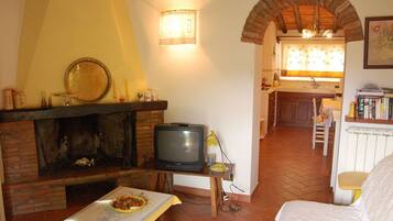 Télévision, cheminée, table de tennis de table