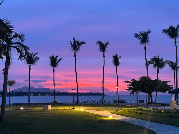 A sunset view with palm trees and a pathway leading to a body of water.
