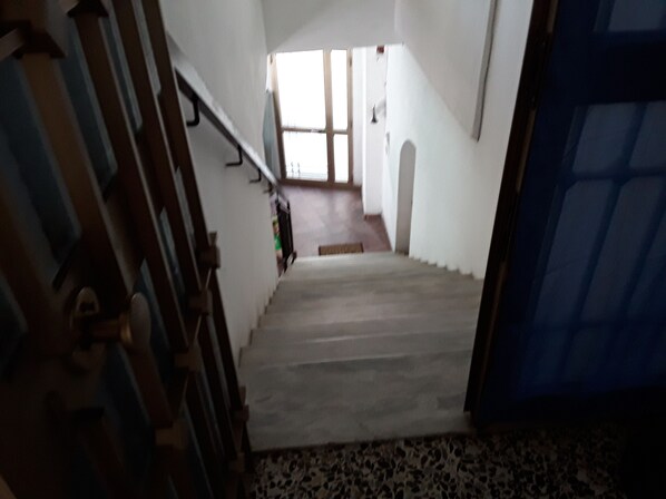 Fælles sovesal - 1 soveværelse - terrasse | Interiør