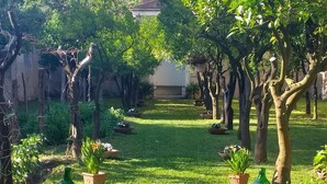 A well-maintained garden with a variety of trees and potted plants, a grassy lawn, and a clear path leading through the garden.