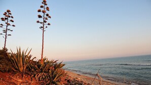 En strand med klart himmel, sandet bredde og vegetation.