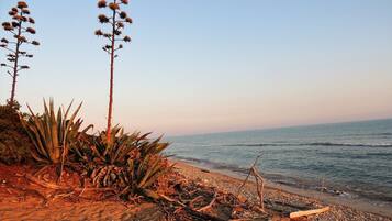 House, 1 Bedroom, Accessible, Smoking | Beach