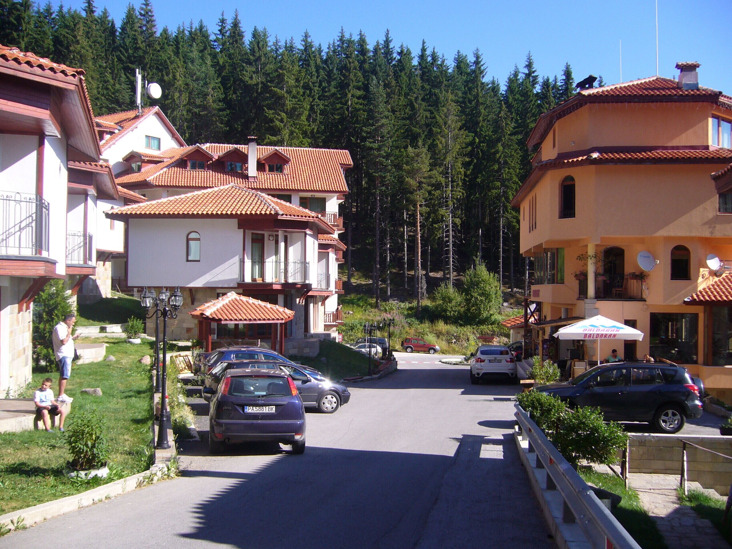 Una calle residencial con casas, coches estacionados y una vista despejada del bosque circundante.