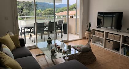 Nice 43m2 apartment, large terrace, small sea view