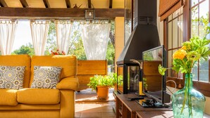 Un salon avec un canapé, une table sur laquelle se trouve un téléviseur, une plante en pot et une fenêtre avec des rideaux.