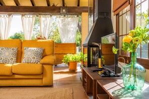 TV, fireplace, table tennis