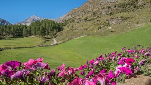 Un paisaje montañoso con un campo verde y una valla de madera.