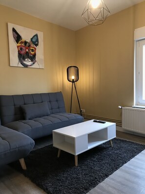 Smart TV - 45m2 Nancy, bedroom, gym  (Nancy)