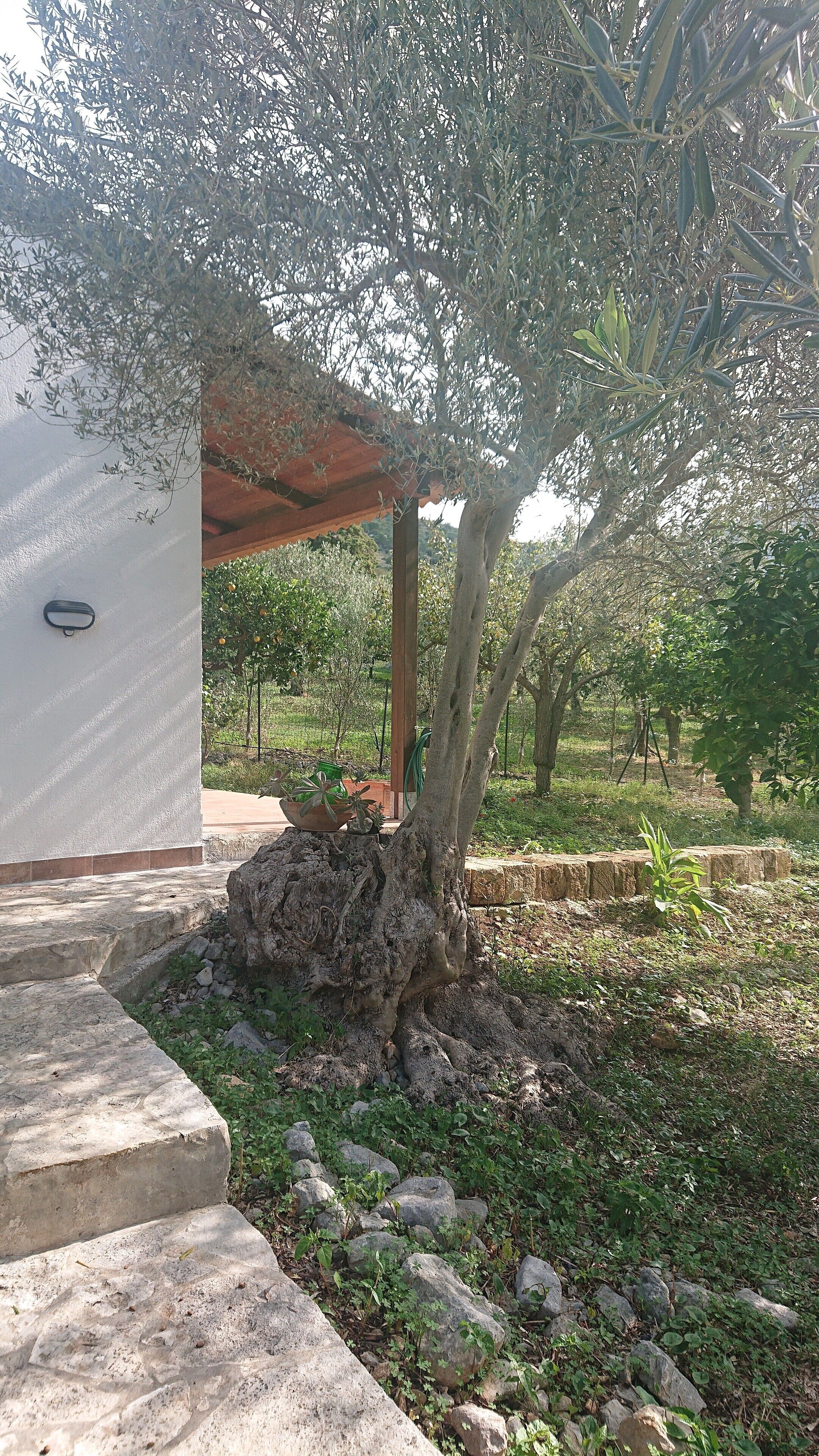 Tenuta Luogogrande: agriculture, countryside, sea, relaxation!