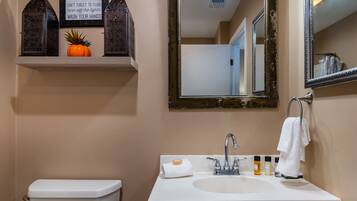 Combined shower/tub, hair dryer