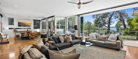 Televisión, chimenea, reproductor de DVD, libros