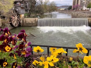 Botón de imagen sin clasificar, 3 de 49