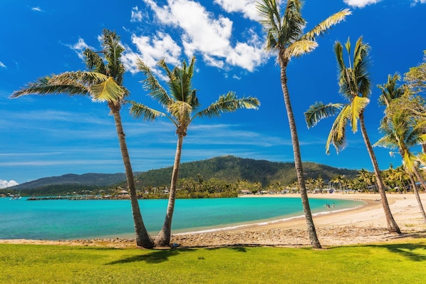 Una playa con palmeras, agua turquesa cristalina y una cadena montañosa al fondo.
