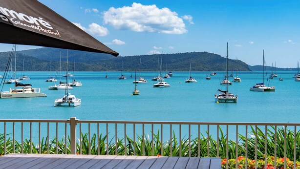A marina with multiple sailboats docked. - By The Sea Shore Stunning Unit Pool Spa Views (Cannonvale)