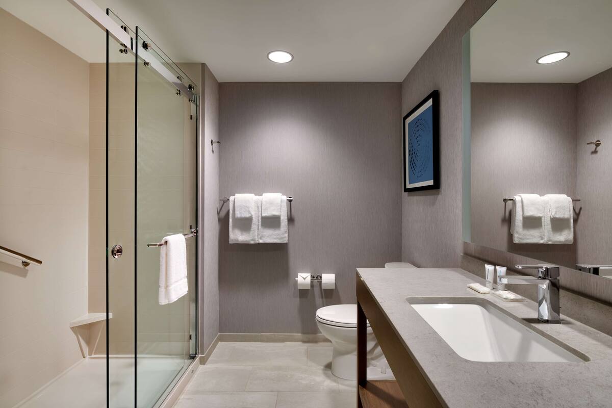 A modern bathroom with a glass shower enclosure, a white sink, and a toilet.