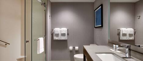 A modern bathroom with a glass shower enclosure, a white sink, and a toilet.