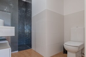 Combined shower/bathtub, hair dryer, bidet, towels - Centre Funchal top floor terrace & large balconies (Funchal)