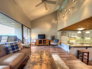 Télévision, cheminée, lecteur de DVD