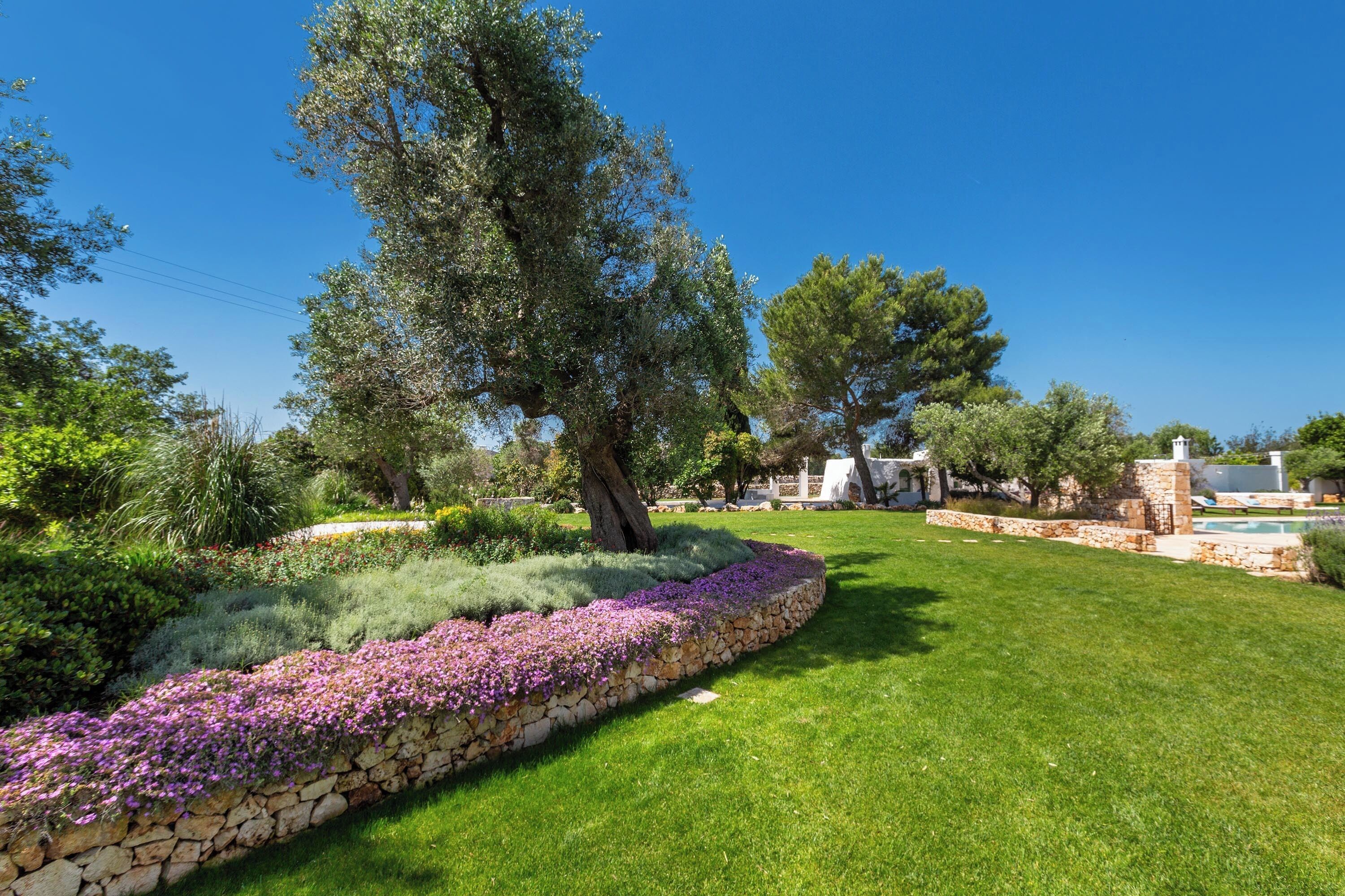 A well-maintained garden with a stone wall, a variety of trees, and a clear blue sky.
