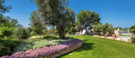 A well-maintained garden with a stone wall, a variety of trees, and a clear blue sky.