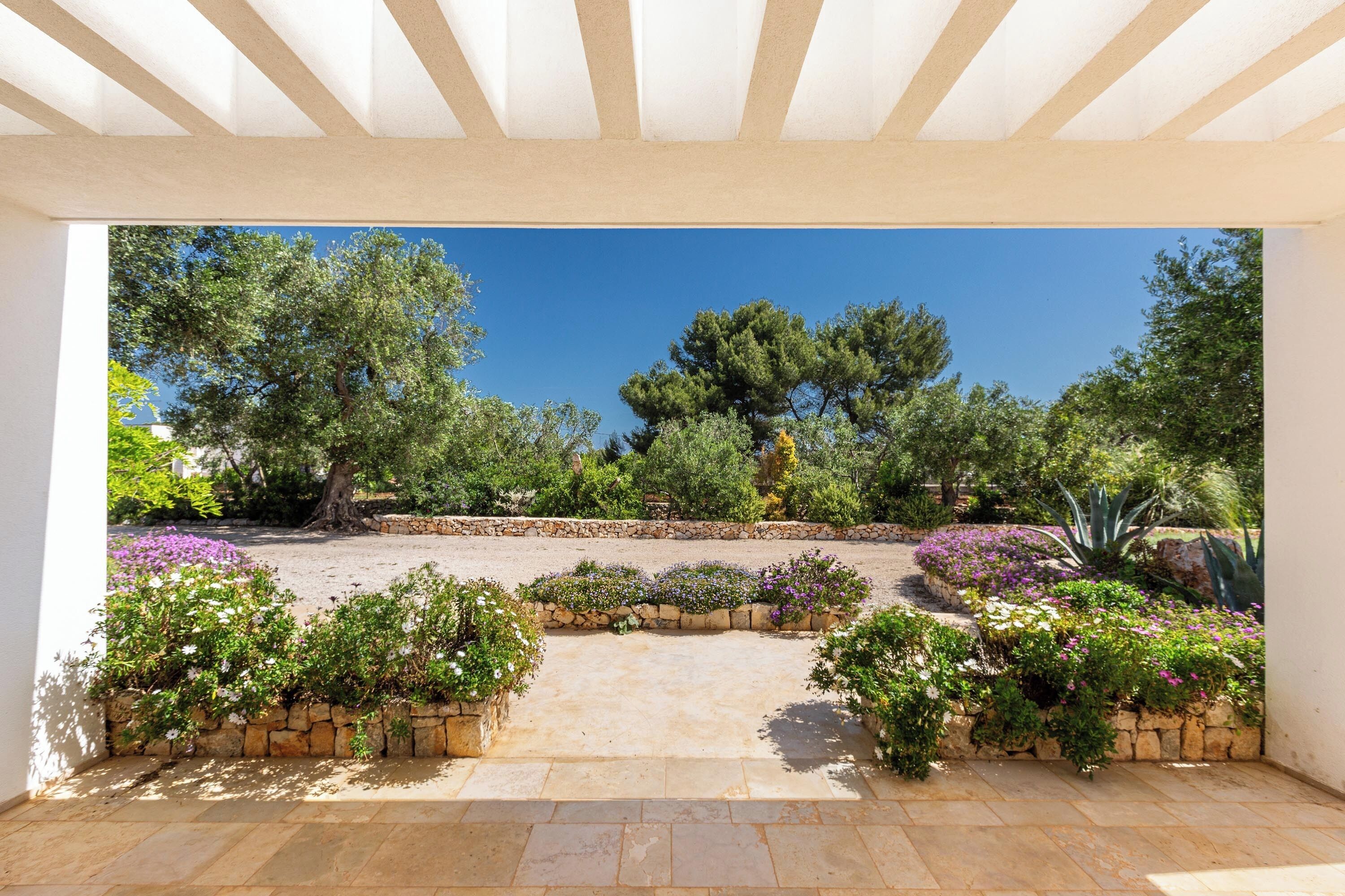 Parco della struttura