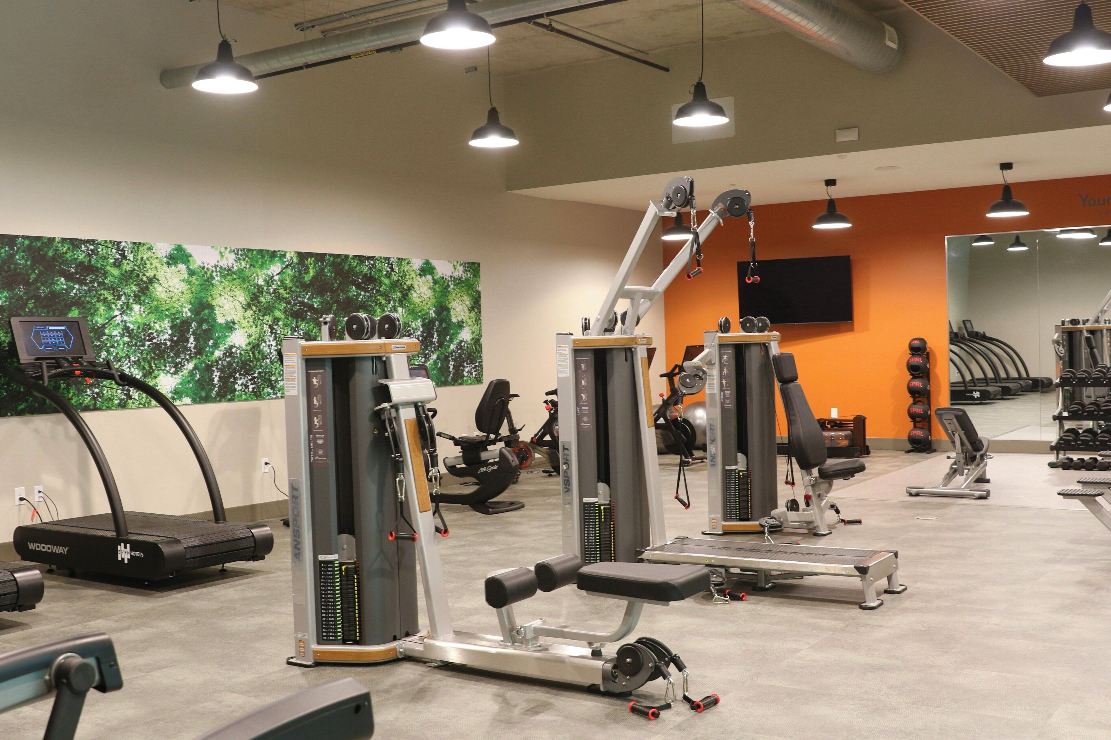 Une salle de sport équipée de divers appareils d’exercice, d’un tapis de course et d’un écran fixé au mur.