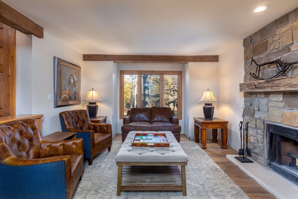 Smart TV, fireplace, DVD player, music library