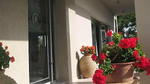 Entrada de hotel con grandes ventanales, una planta en maceta con flores rojas y un jarrón grande.