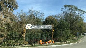 A street sign for 'SAUGATUCK' with a painter's palette logo, surrounded by autumn foliage and decorative pumpkins.