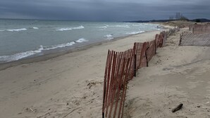 A beach with a wooden fence and sandy terrain. - Secluded Cottage Getaway (Saugatuck)