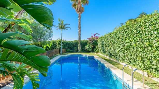Suorakulmainen uima-allas, jonka ympärillä on vehreää kasvillisuutta, kuten palmuja ja pensasaita.