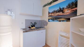 Premium Apartment, 1 King Bed with Sofa bed, Non Smoking (22) | Private kitchen | Full-size fridge, stovetop, cookware/dishes/utensils, freezer