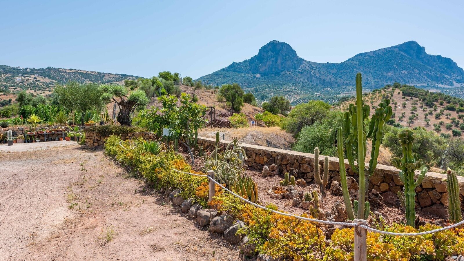 Jardines del alojamiento