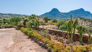 Paisagem desértica com cactos e um muro de pedra.