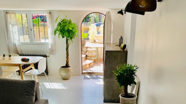 Un salon moderne avec un canapé, une table à manger et deux plantes en pot.