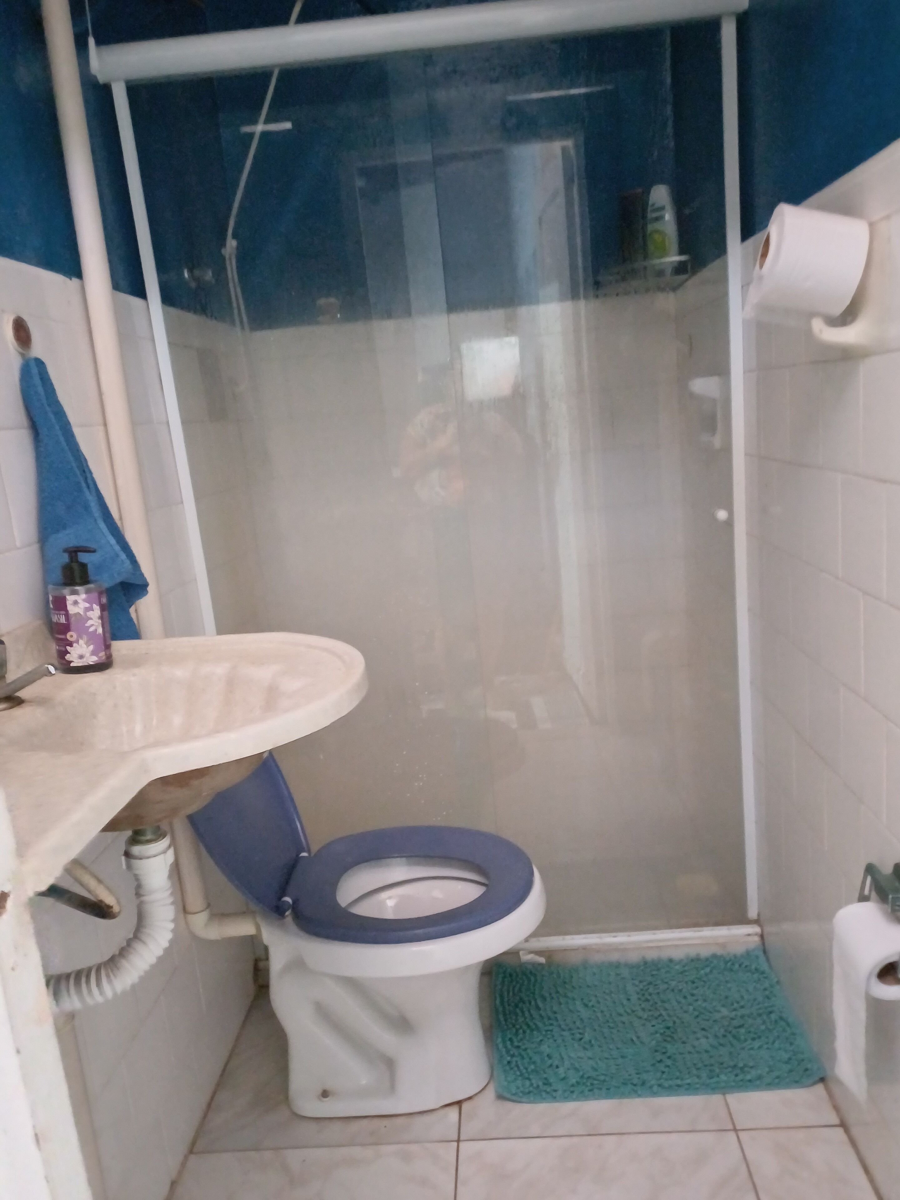 A bathroom with a shower enclosure, a toilet, a sink, and a blue mat.