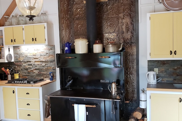 Fridge, oven, stovetop, coffee/tea maker