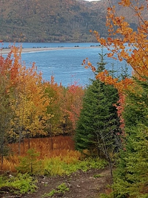 Ulkoalueet