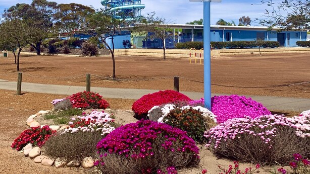 A large telescope sculpture in a landscaped area with colorful flowers and a blue building in the background.