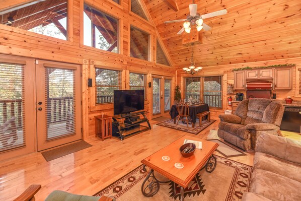 Smart TV, fireplace, books