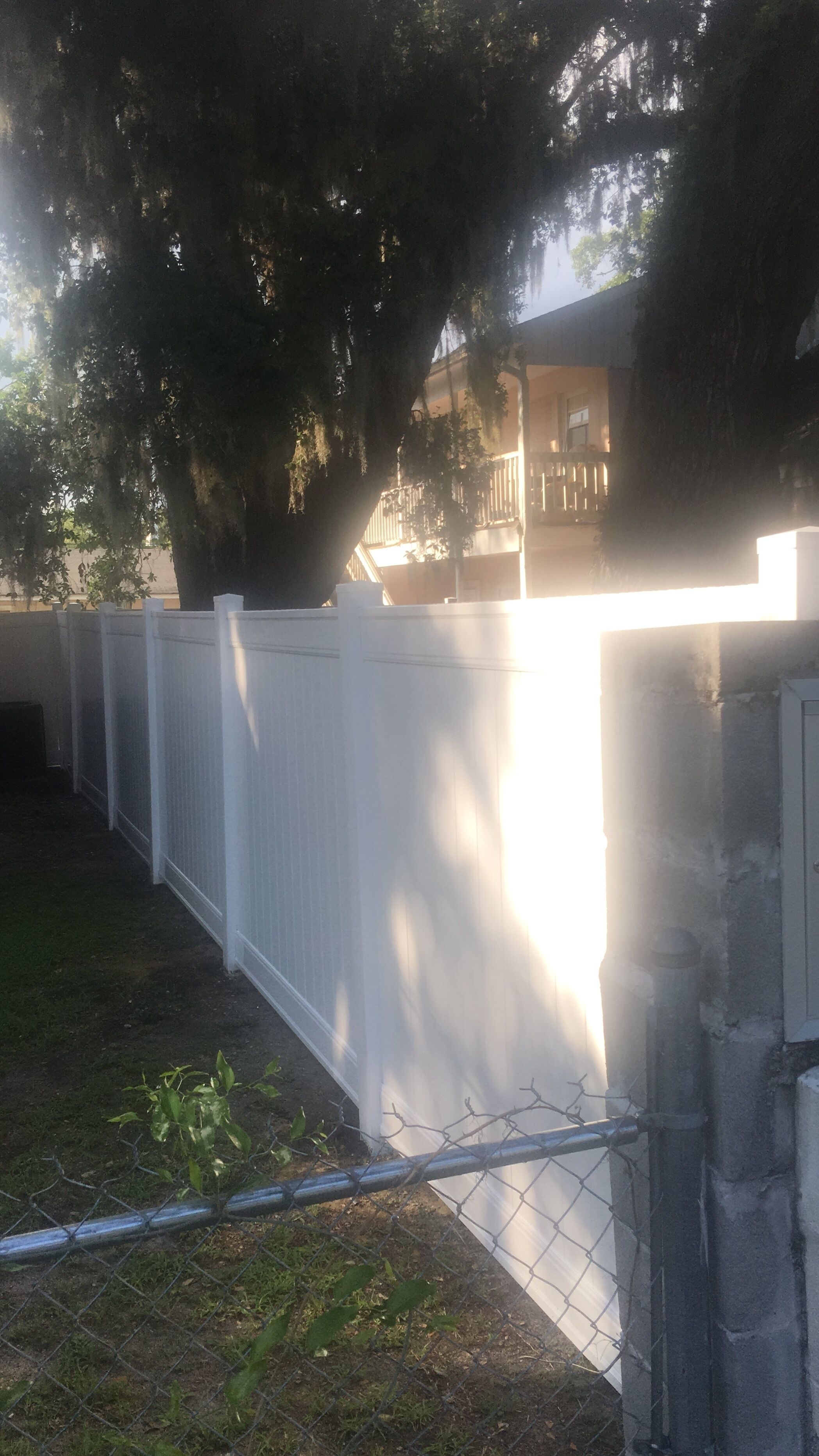 A fenced yard with a white fence, a tree, and a building in the background.