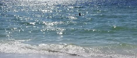 Plage à proximité, chaises longues, serviettes de plage
