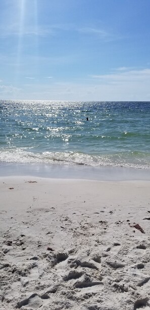 A beach with a clear sky and calm sea. - Cozy and spacious 3/2 condo. Family friendly. 3 Mins to the beach. Dog friendly (Naples)