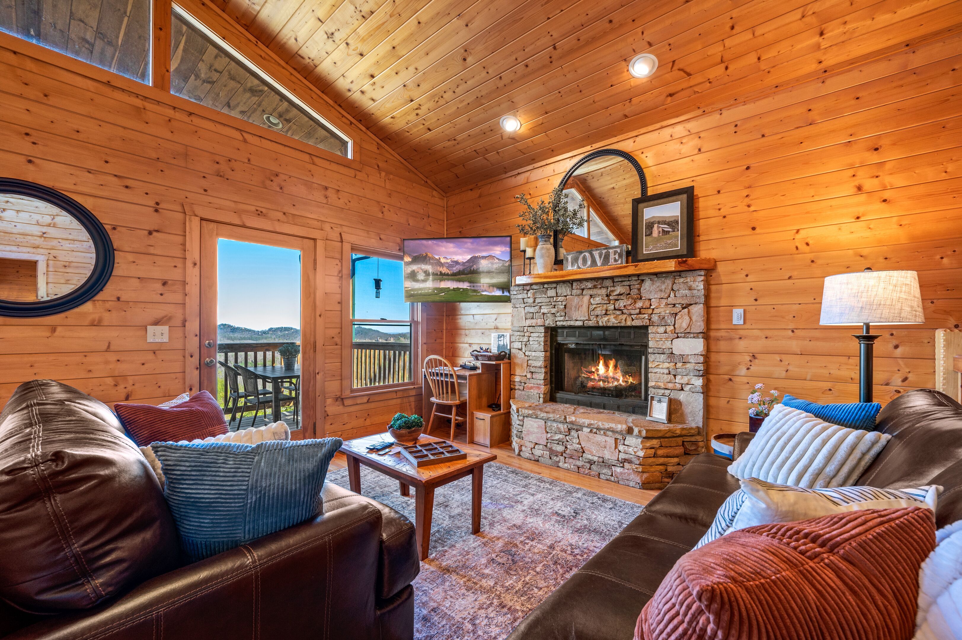 TV, fireplace, DVD player, books