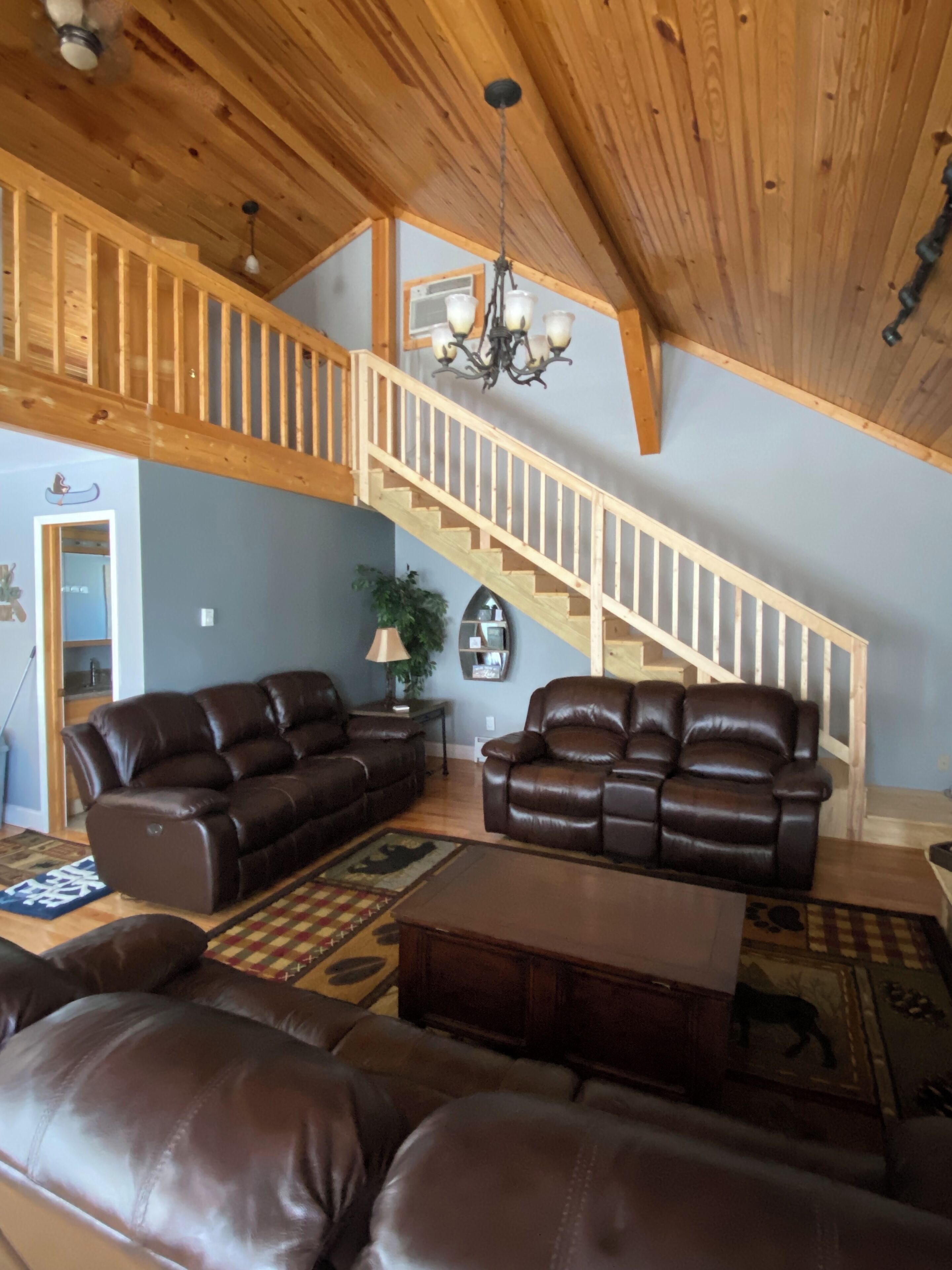 TV connectée, cheminée, lecteur de DVD