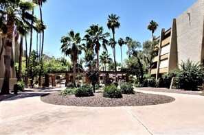 Immagine non classificata, 3 di 29, pulsante