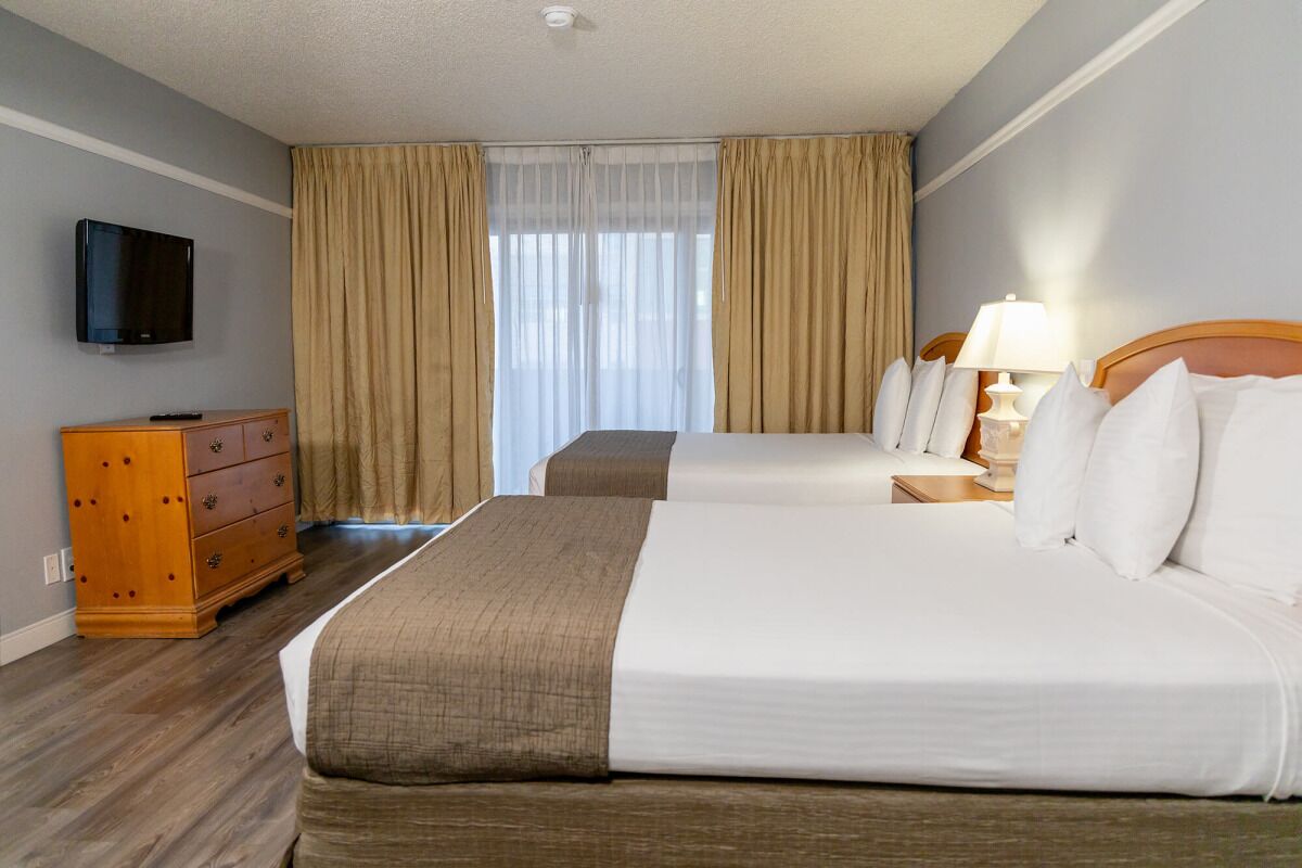 Adventure Awaits! Indoor Swimming Pool + Free Parking