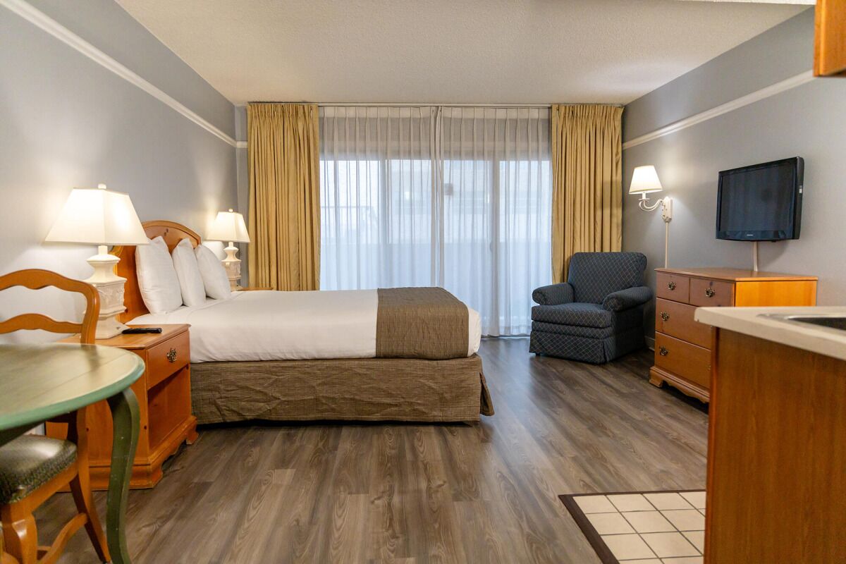 Adventure Awaits! Indoor Swimming Pool, Short Drive to Rancho San Rafael Park!